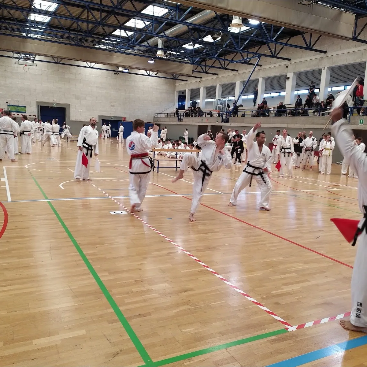 Circolo scacchi CUS Udine — Via Ermes di Colloredo, 14, 33100 Udine UD, Italy