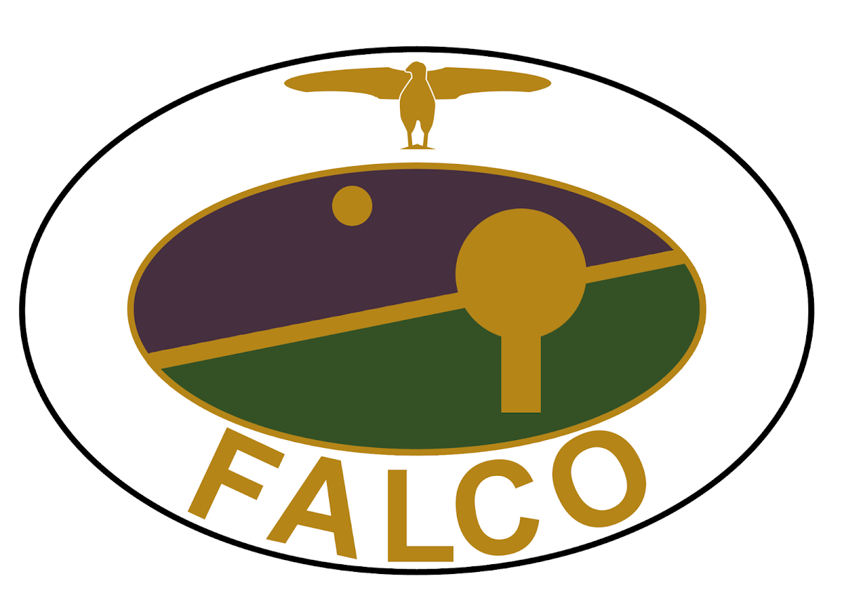 TTV Falco gallery 3