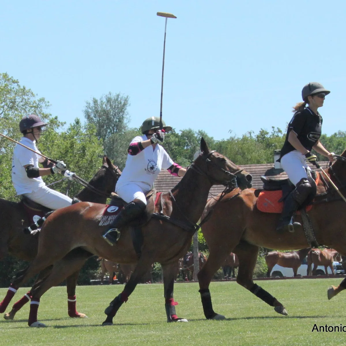Geneva Polo Club — 520 Chem. du Pont de Crevy, 74140 Veigy-Foncenex, France