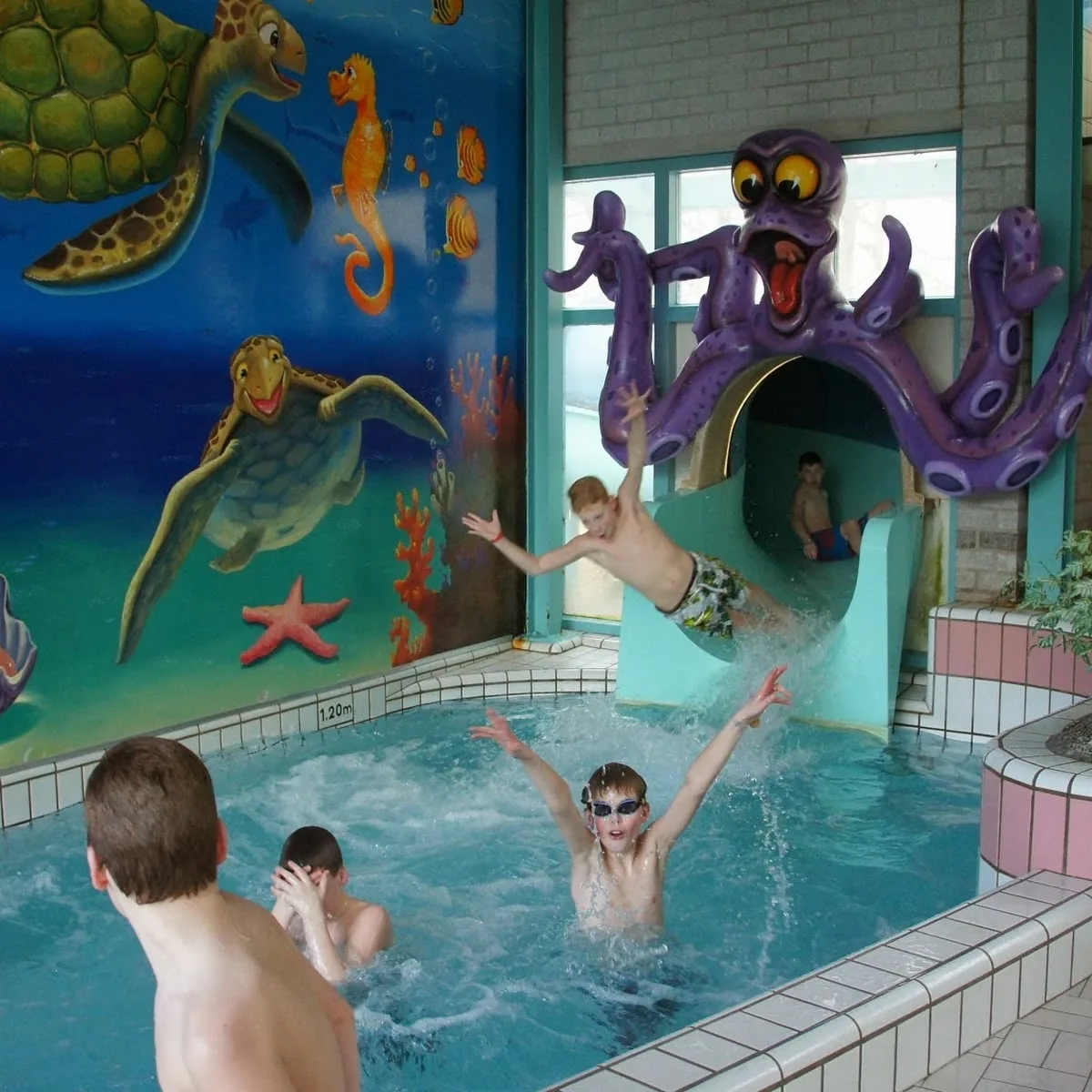 De Meerval Wijchen B.V. — Meerdreef 6, 6602 HN Wijchen, Netherlands