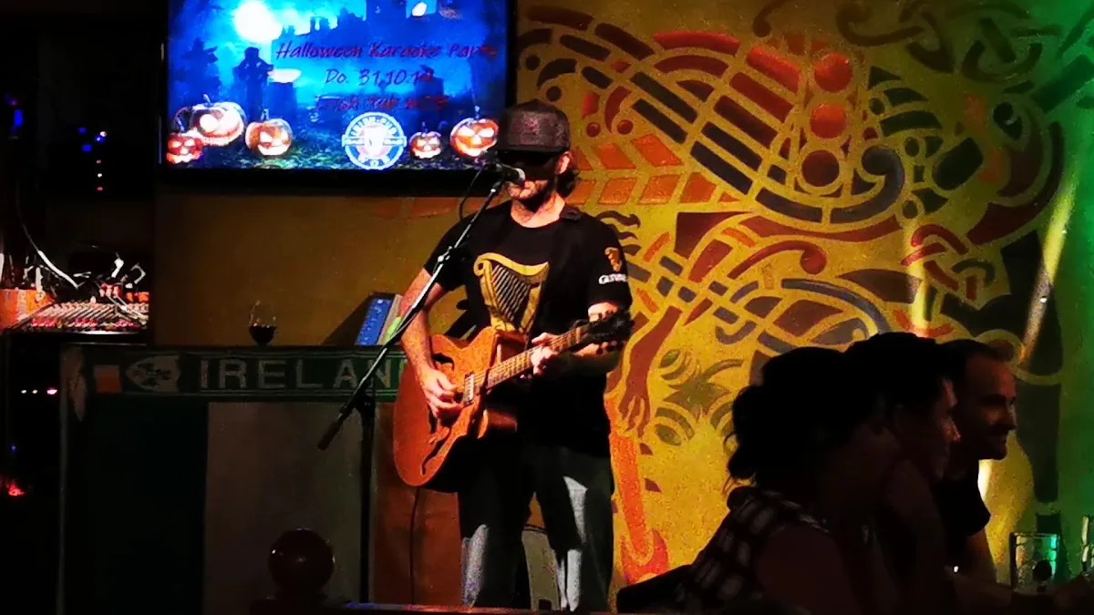 Irish Pub Wob gallery 3