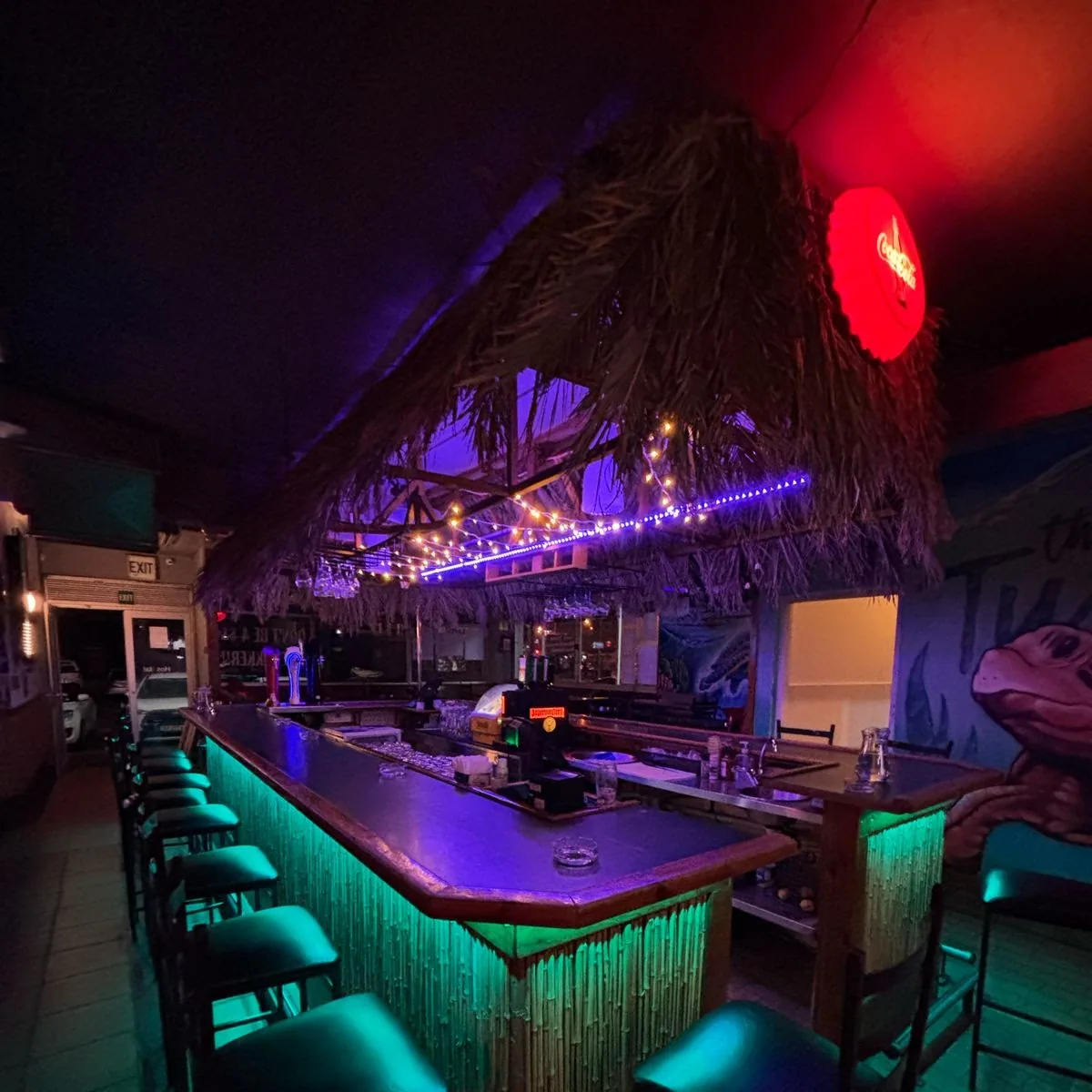 The Thursty Turtle — Shop 2A, Blue Waters Centre, 2 Porterfield Rd, Table View, Cape Town, 7441, South Africa