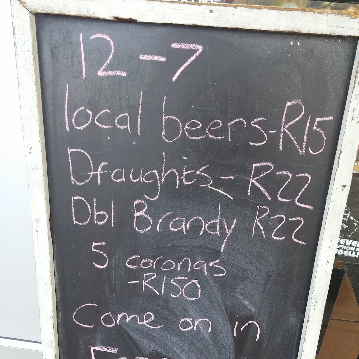 The Thursty Turtle gallery 2