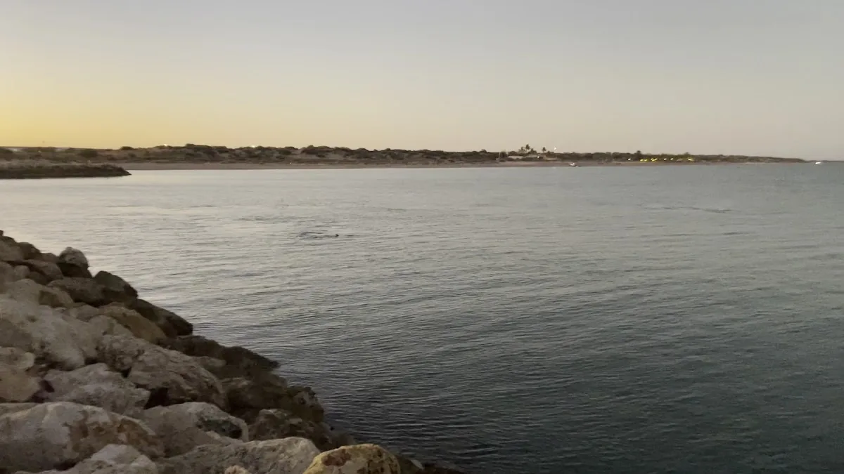 Exmouth Game Fishing Club Sports Bar & Restaurant gallery 3