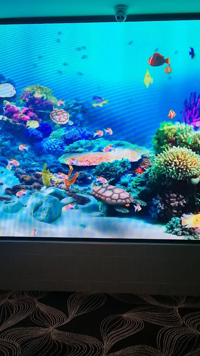 Toowoomba Sports Club gallery 3