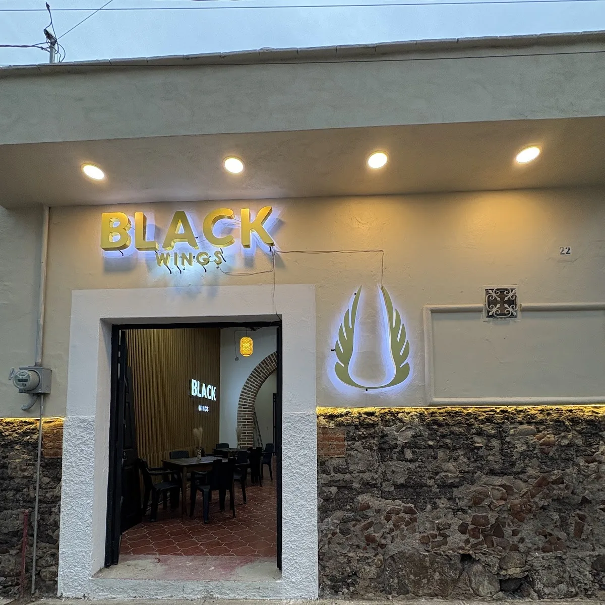 Black Wings — Morelos 2, 45920 Ajijic, Jal., Mexico