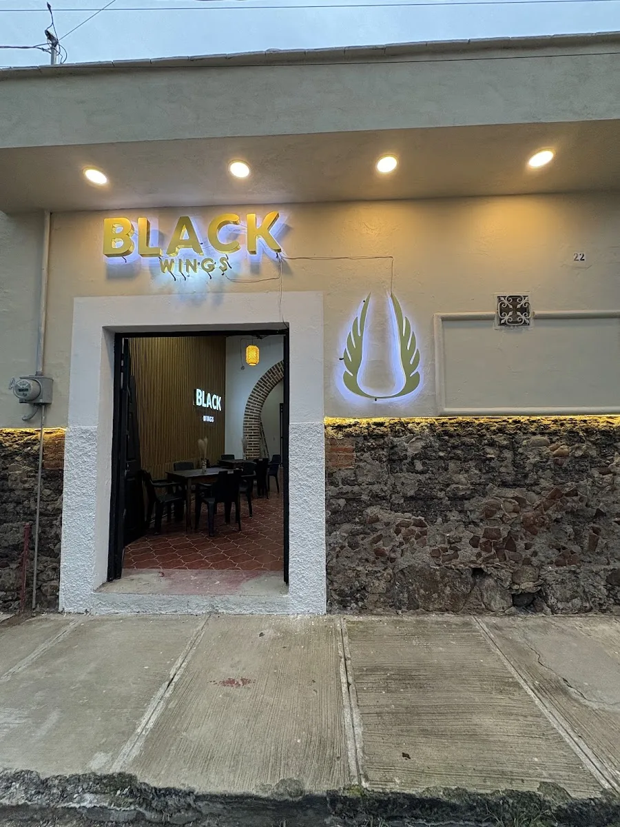 Black Wings gallery 2