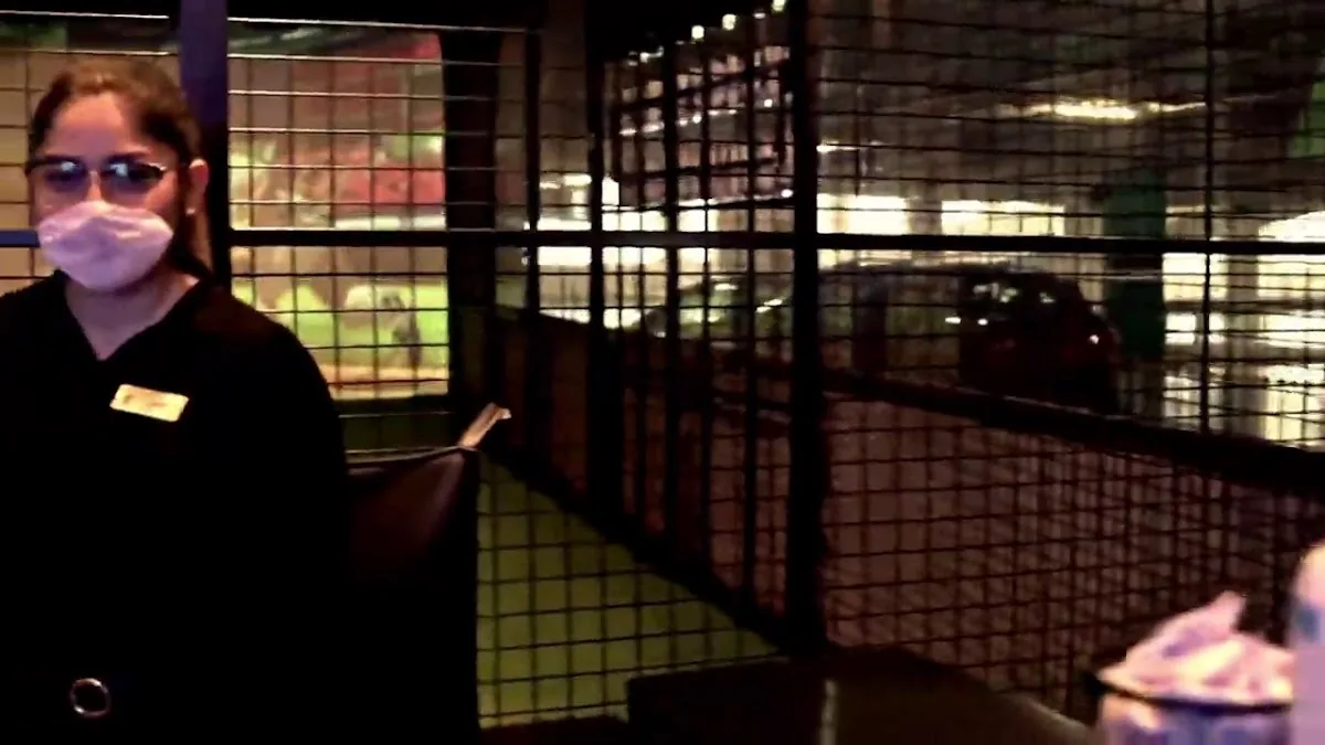 Batbox San Pedro gallery 3