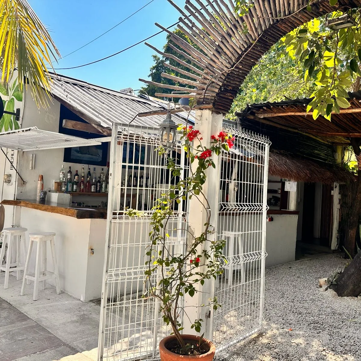 Patio de Aguacate Bacalar — Avenida 5 entre Calle 16 y 18, Centro, 77930 Bacalar, Q.R., Mexico