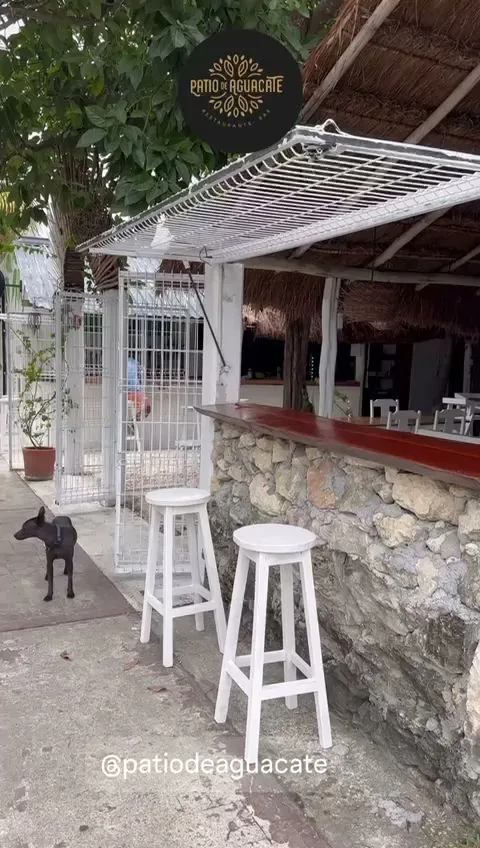 Patio de Aguacate Bacalar gallery 3