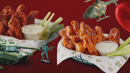 Wings Army Chetumal gallery 3