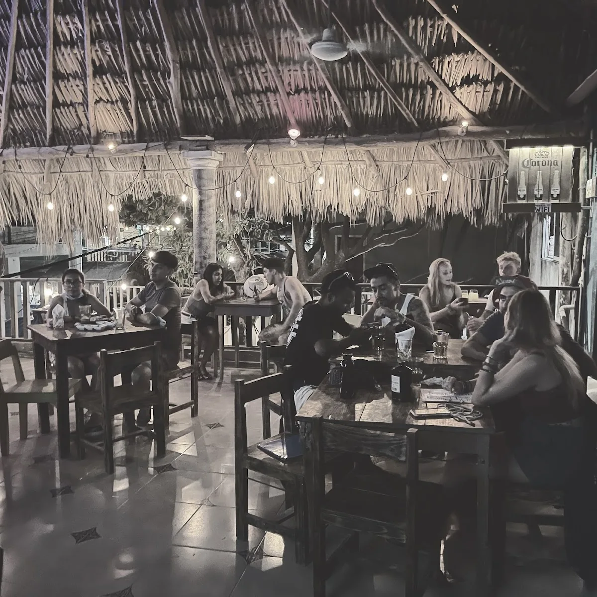 Pura Vida Sushi Roots Bar gallery 2