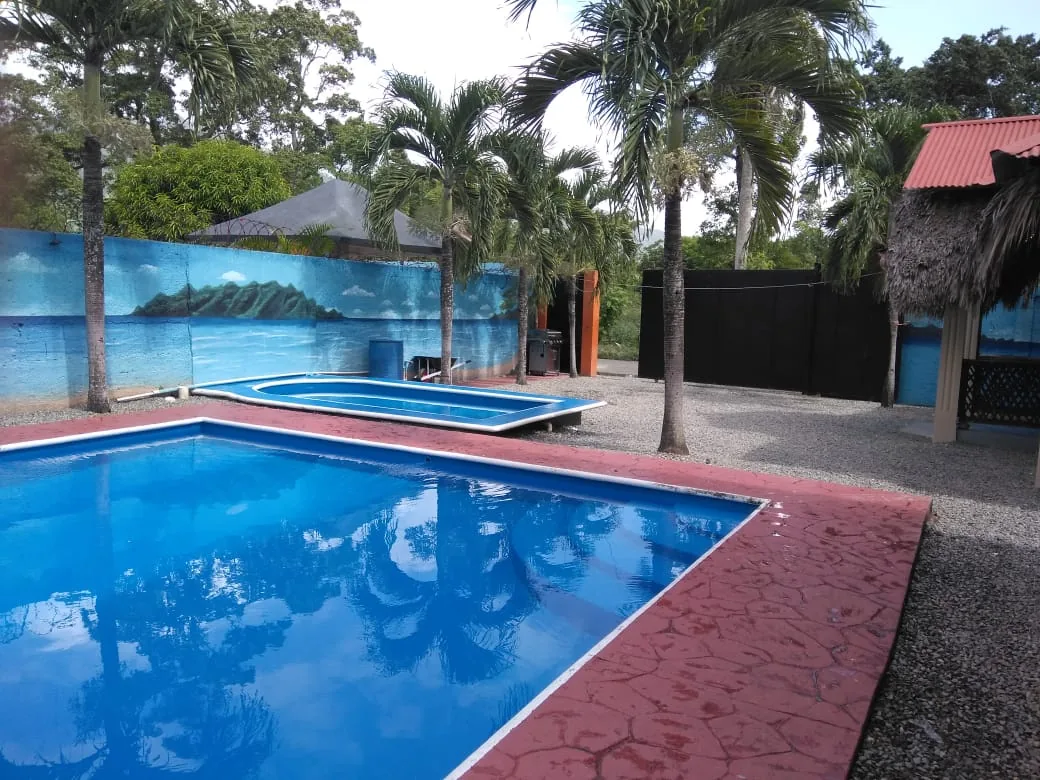 Gallera de Los Arroces gallery 3