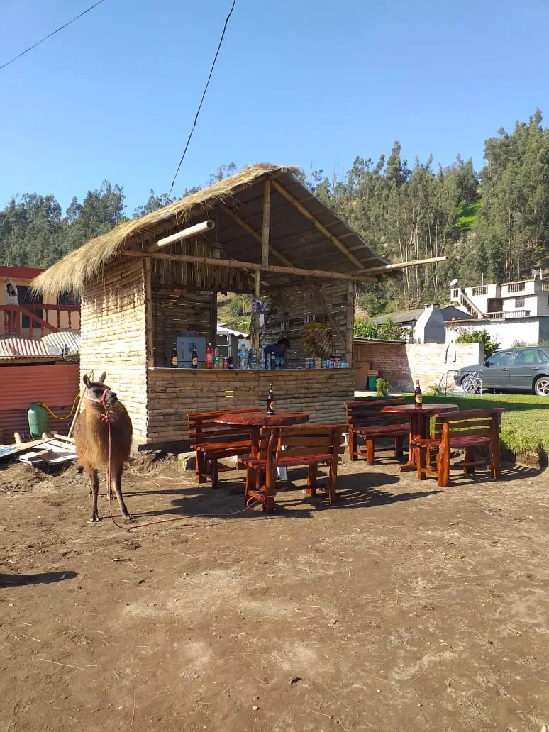 Complejo deportivo el Mol gallery 3