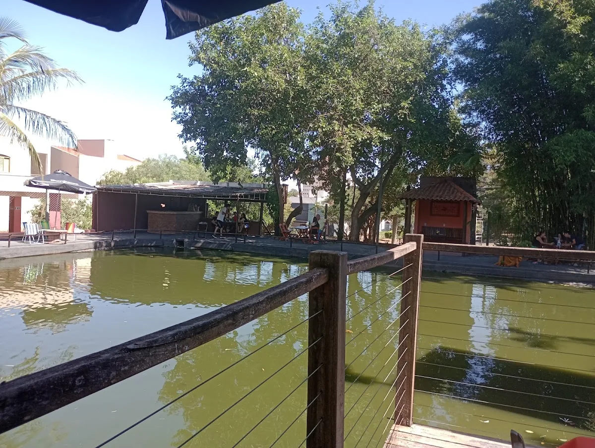 Chopão News gallery 3