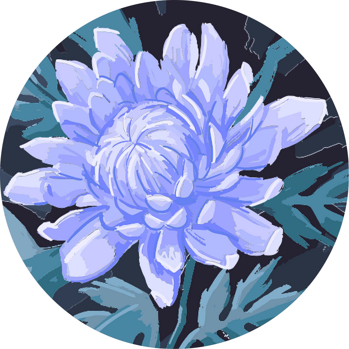 Canchas de Ecuavoley #04 — Flores Vasquez &, Ecuador