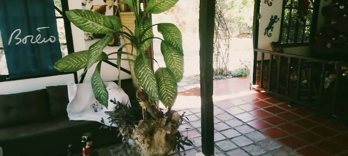 IGUANA Club gallery 3