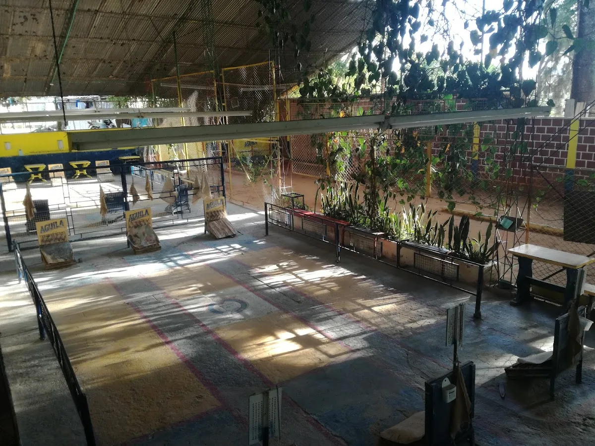 club deportivo de tejo la joya gallery 2