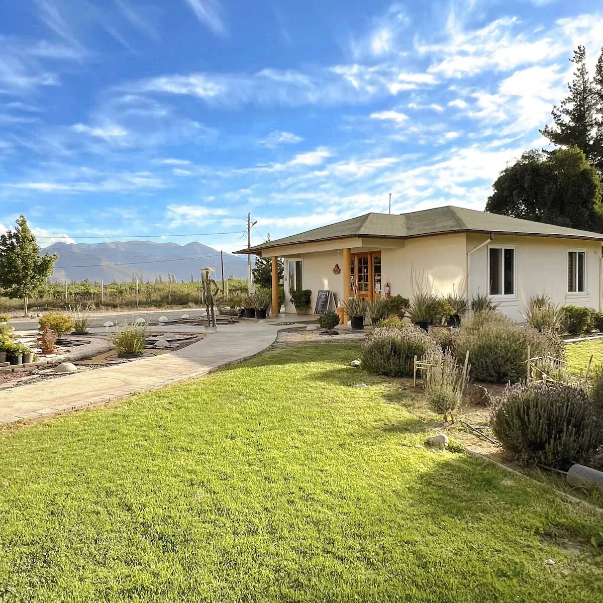 El Rincon del Smoothie — Carlos Condell 798, 9540000 Buin, Regiu00f3n Metropolitana, Chile