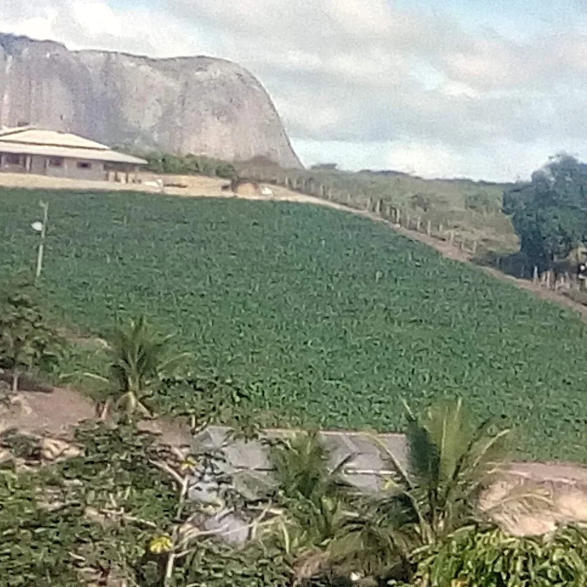 Miros Bar — Pru00f3ximo a Fidelu00e2ndia - Lavra dos Cainas, Atalu00e9ia - MG, 39850-000, Brazil