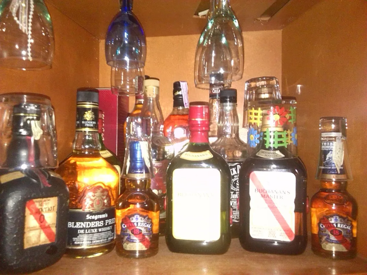 CENTRO HIPICO CORO gallery 2