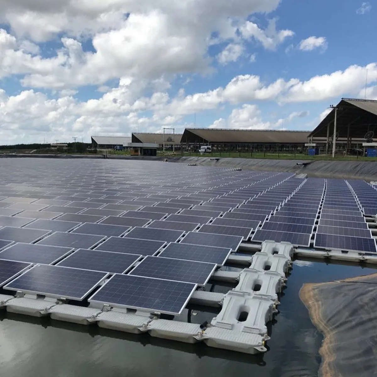 Mercado da Bola — R. Visc. de Mauu00e1 - Cristalina, GO, 73850-000, Brazil