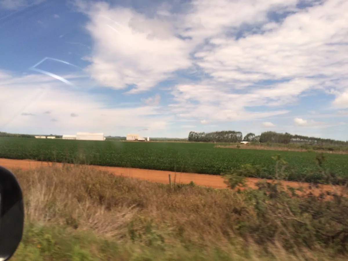 Mercado da Bola gallery 2
