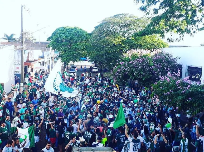 Movimento Avanti Palmeiras gallery 2