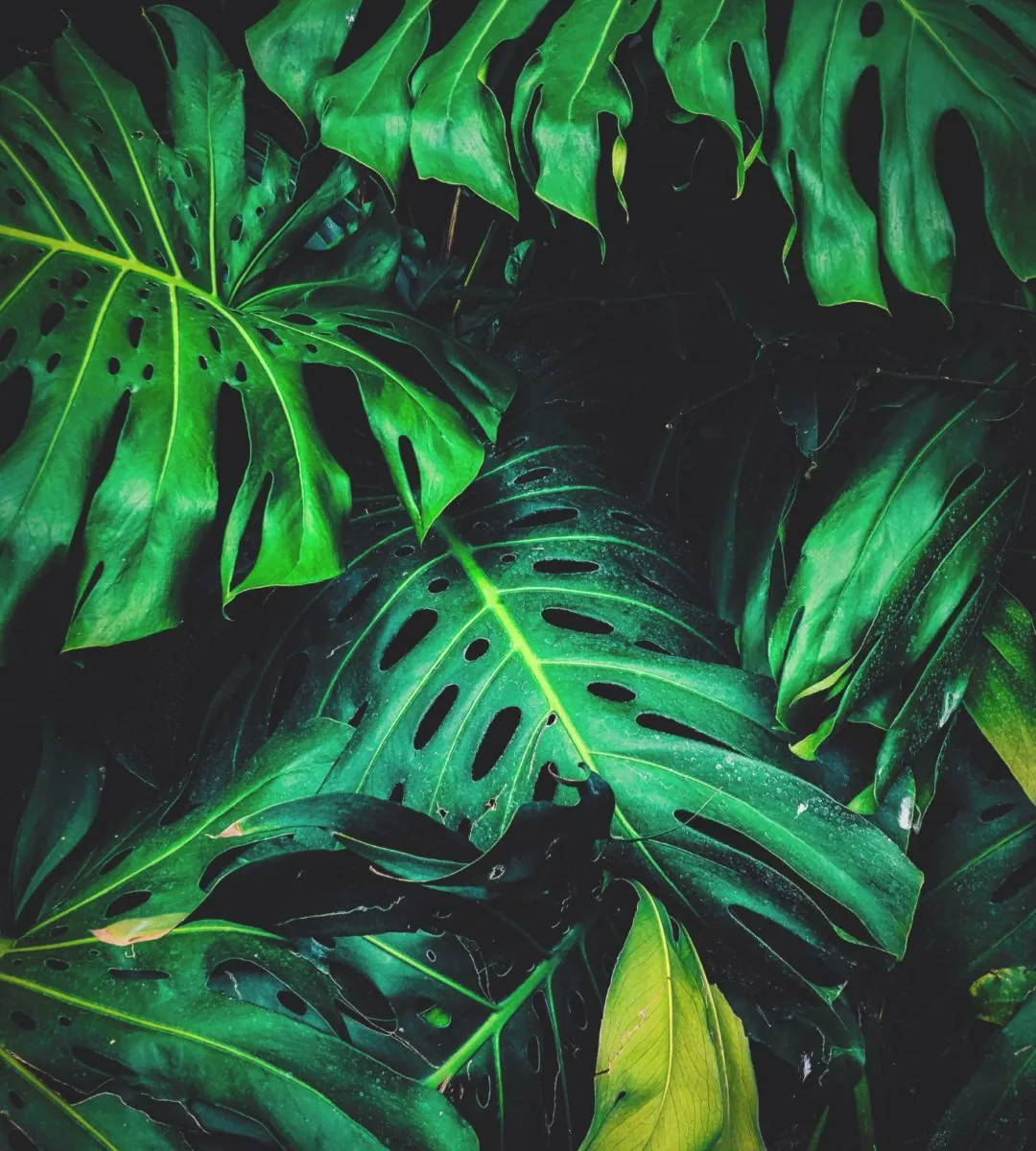 Mills Brewing Co. gallery 3