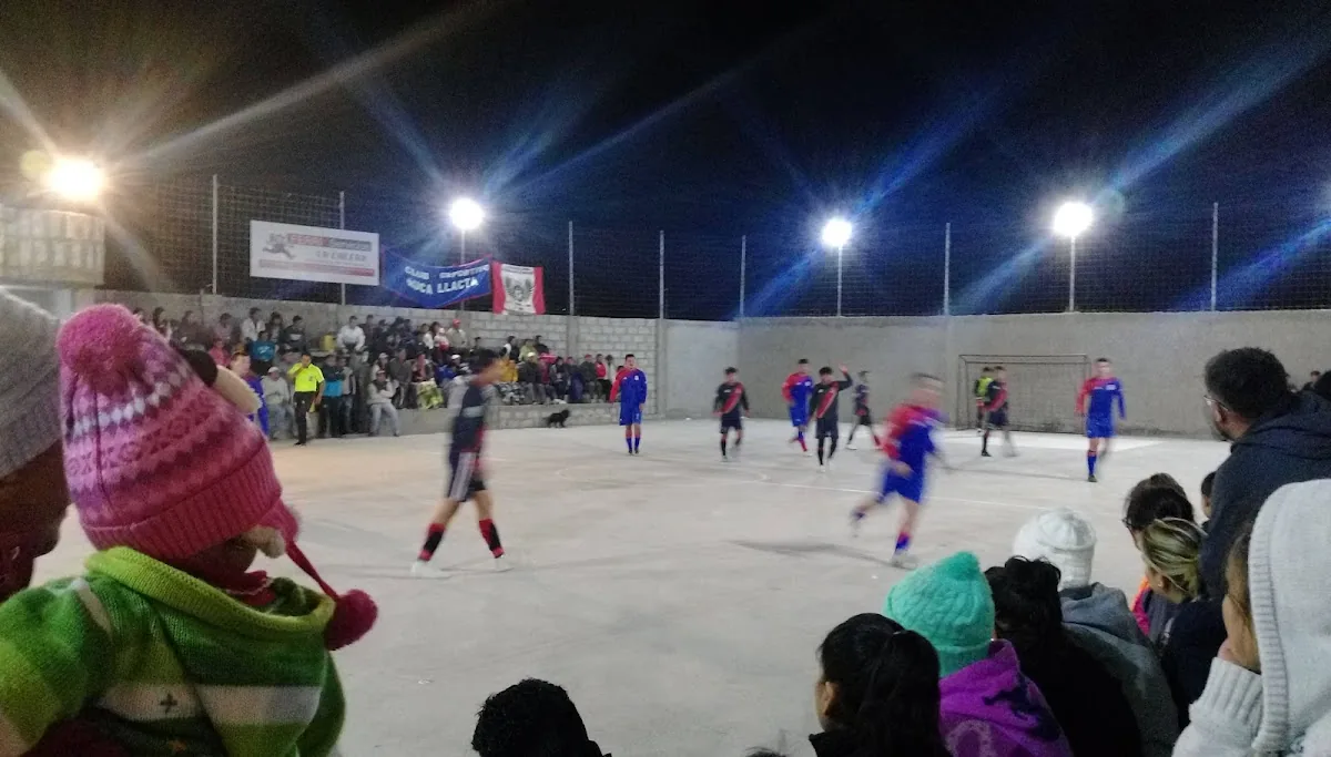 Don Gato Courts gallery 2