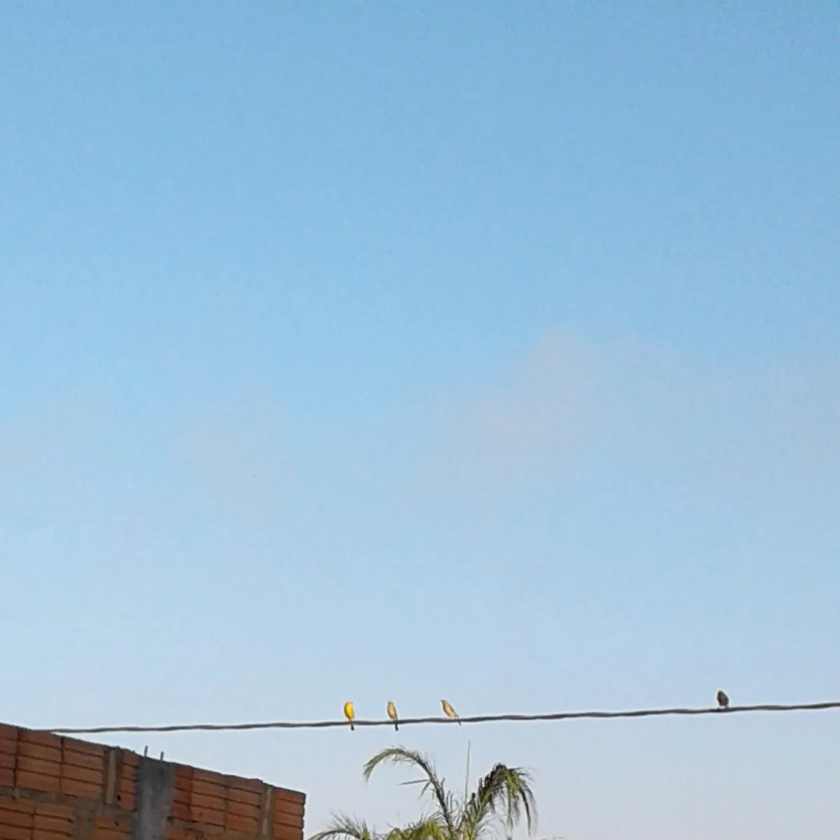 Chácara do Carlão — R. do Canavial, 55 - Setor Industrial, Patos de Minas - MG, 38700-000, Brazil