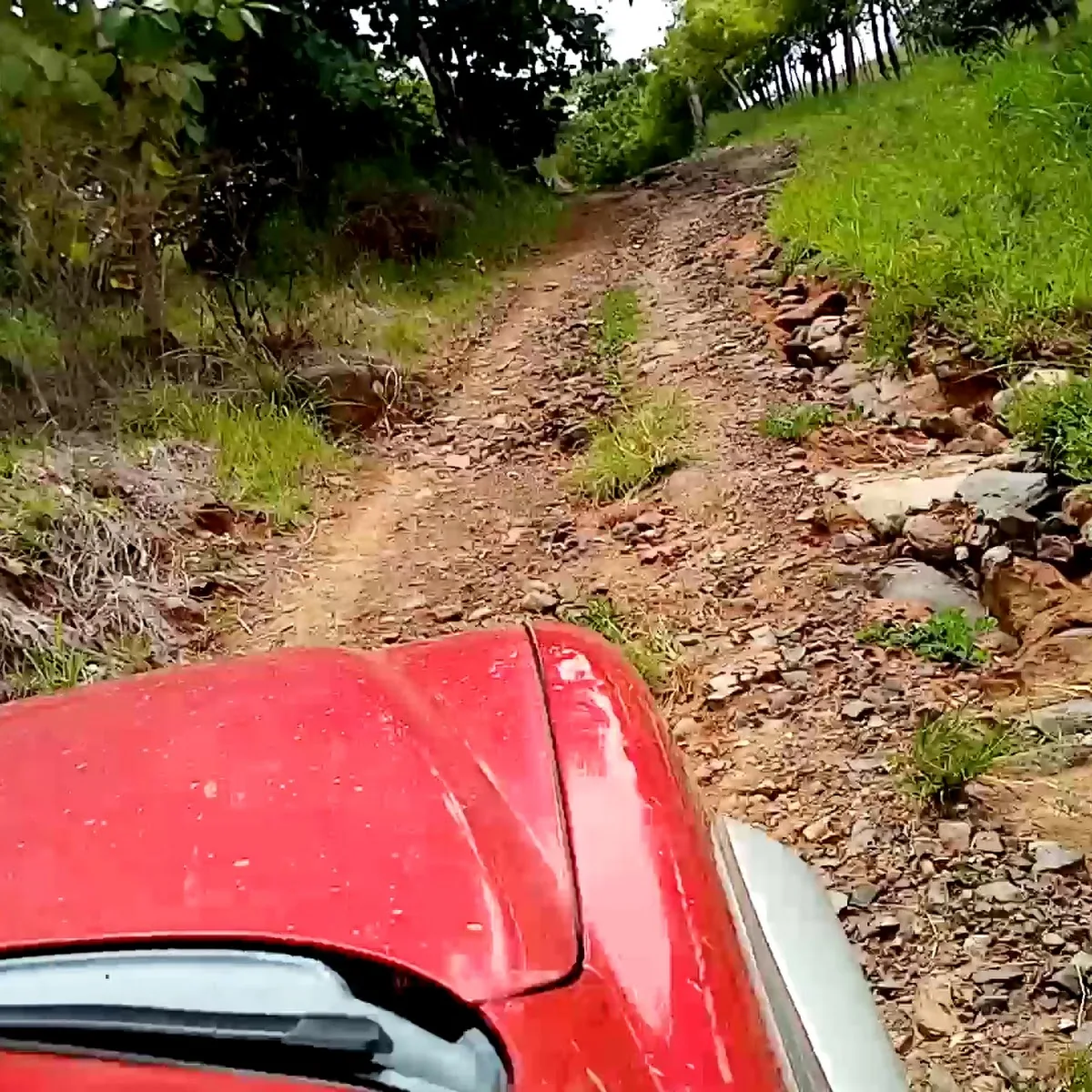 Jardín JOLIMAR — V9M7+H85, Pesu00e9, Herrera Province, Panama