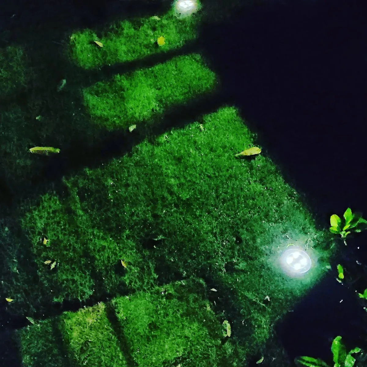 SPORT FANS BAR S.A — Q2PM+38G, Salinas, Ecuador