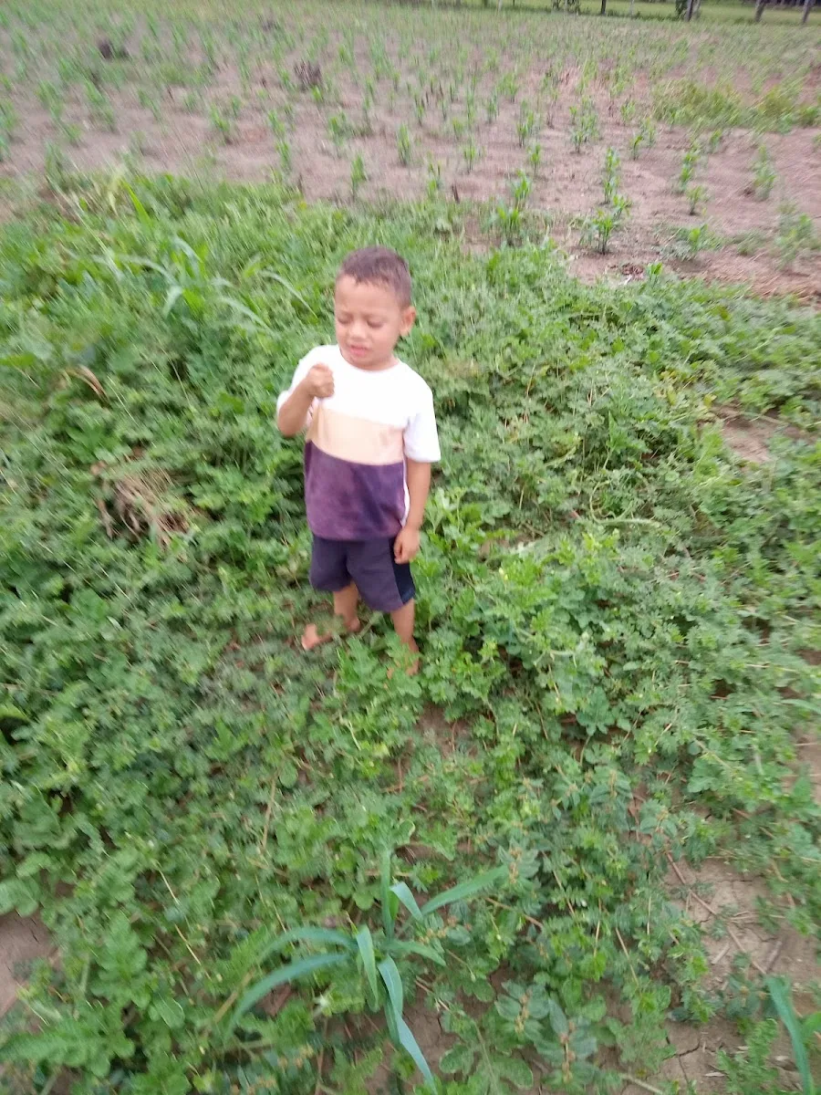 La Cancha Cabuya gallery 3