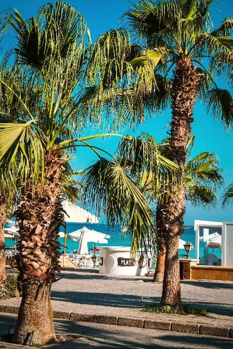 Bus Stop Sahl Hasheesh gallery 3