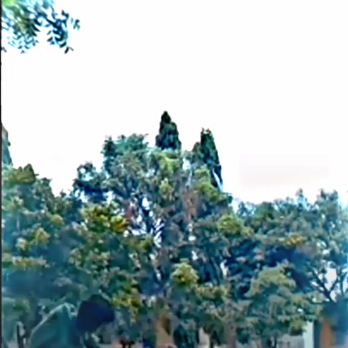 Rcb mini stadium — 8X29+MGW, KALIYAMMAN KOVI STREET, Melnachipattu, Eraiyurmalai R.F., Tamil Nadu 606704, India