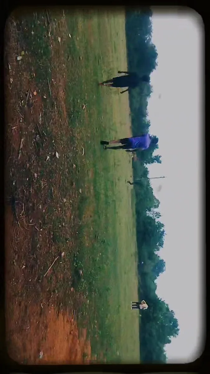 Small cricket ground KK City gallery 3