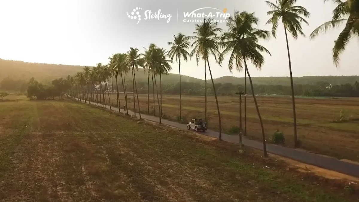 Local Bar, Varca gallery 3