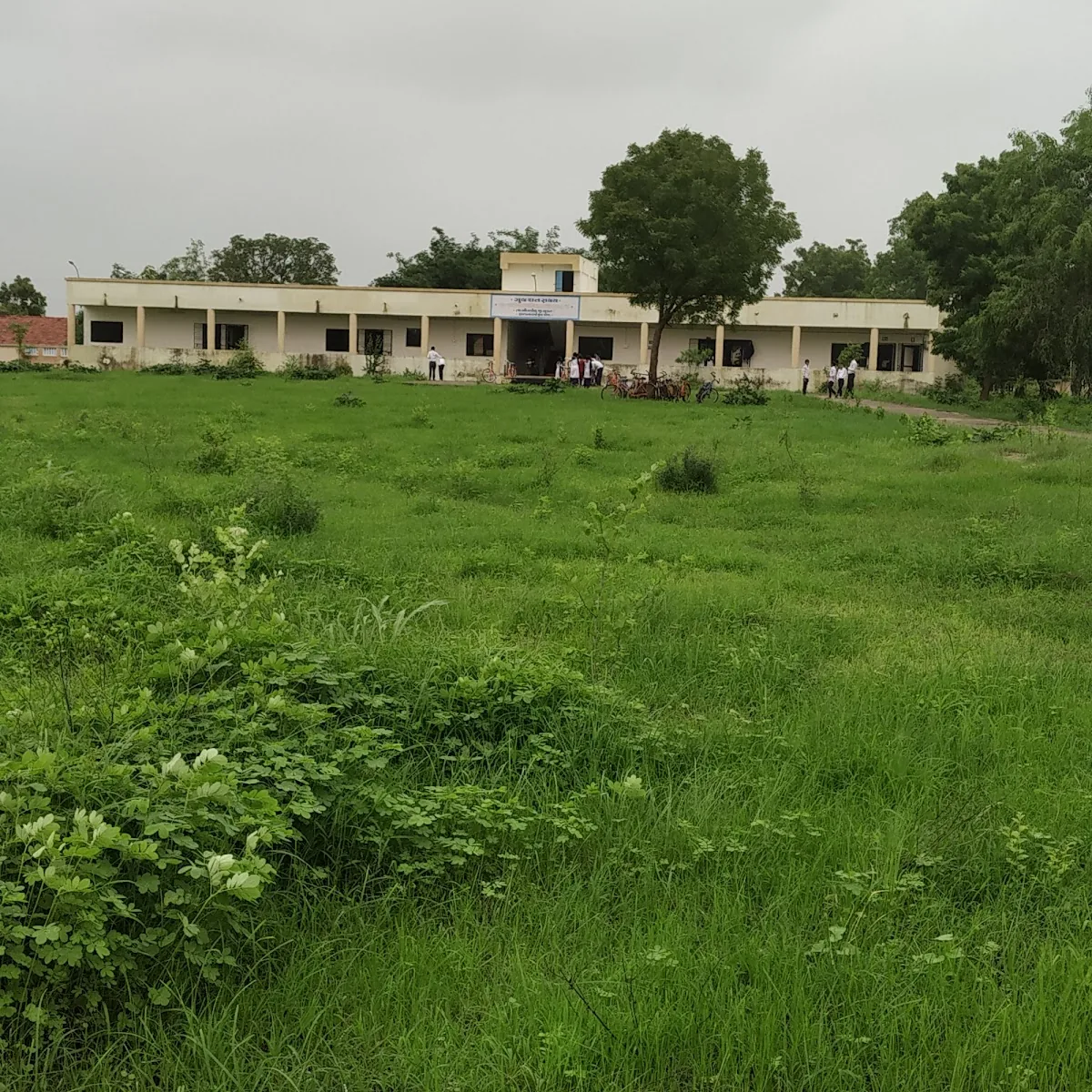 Bhdkuva cricket club 🏏🎾🏐 gallery 3