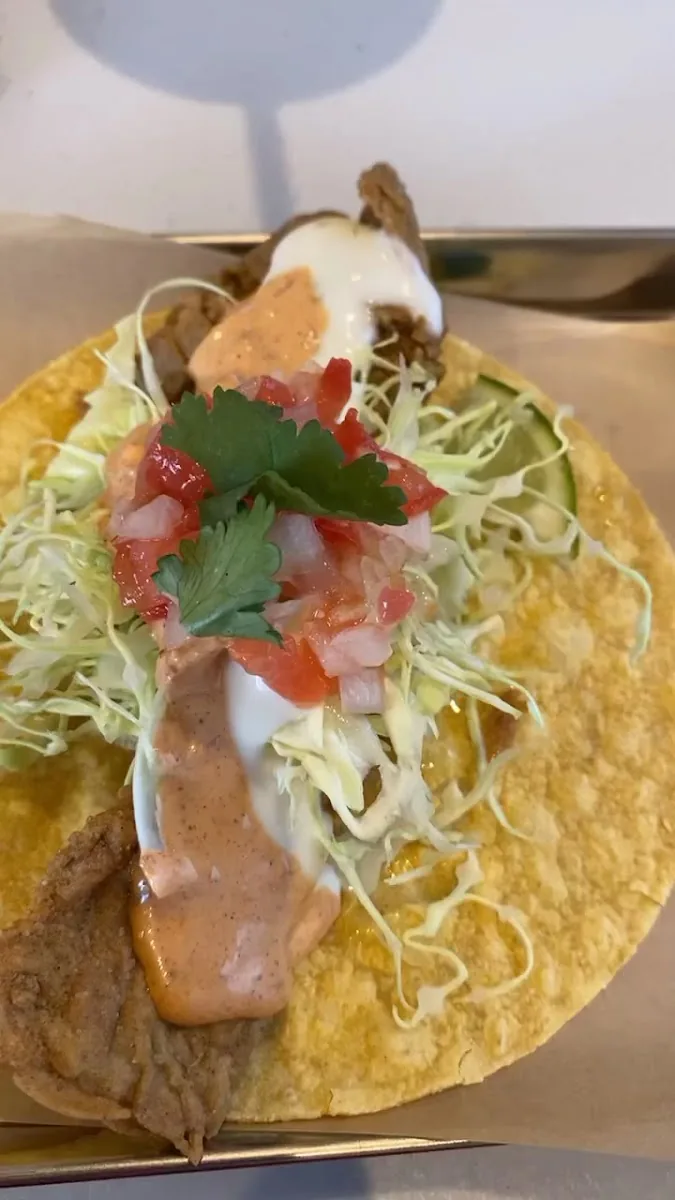 THE CHICKENS gallery 2