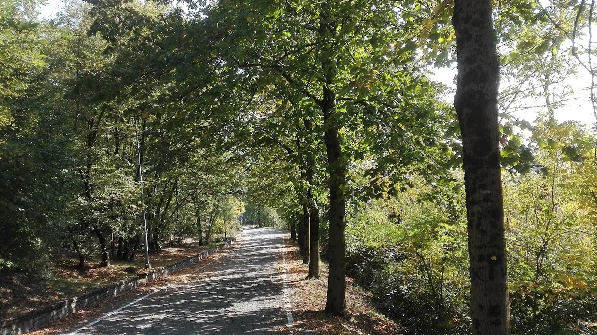 Ravagna Bar Tennis gallery 3