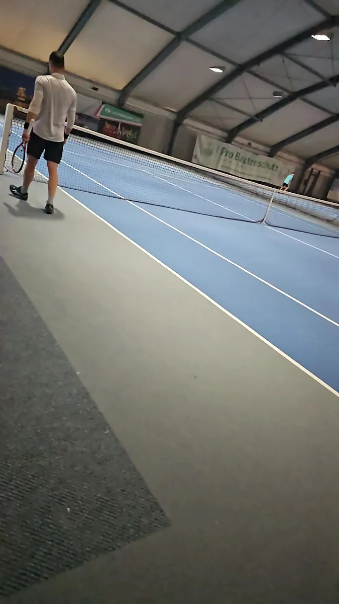 hammos arena gallery 3