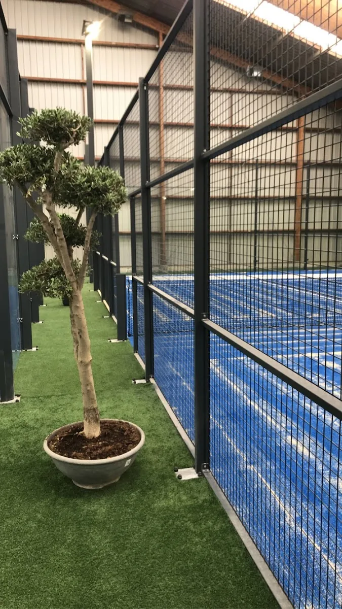 Breizh Paddle | Bruz gallery 3