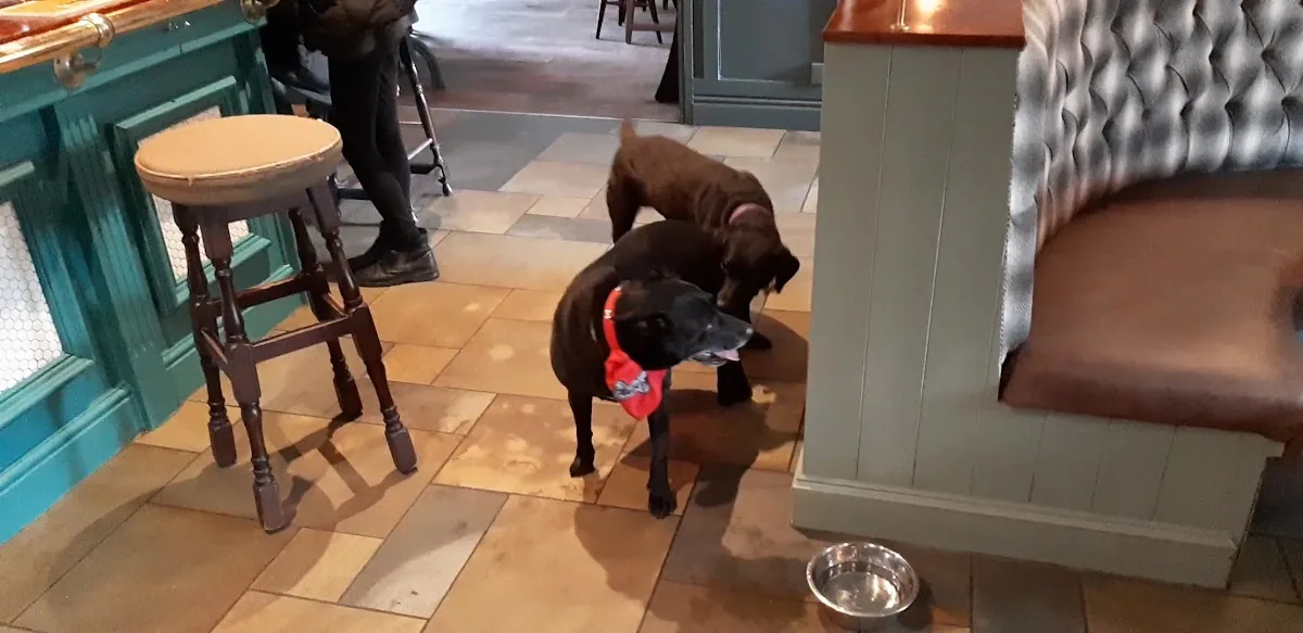 The Victoria Walshaw gallery 2