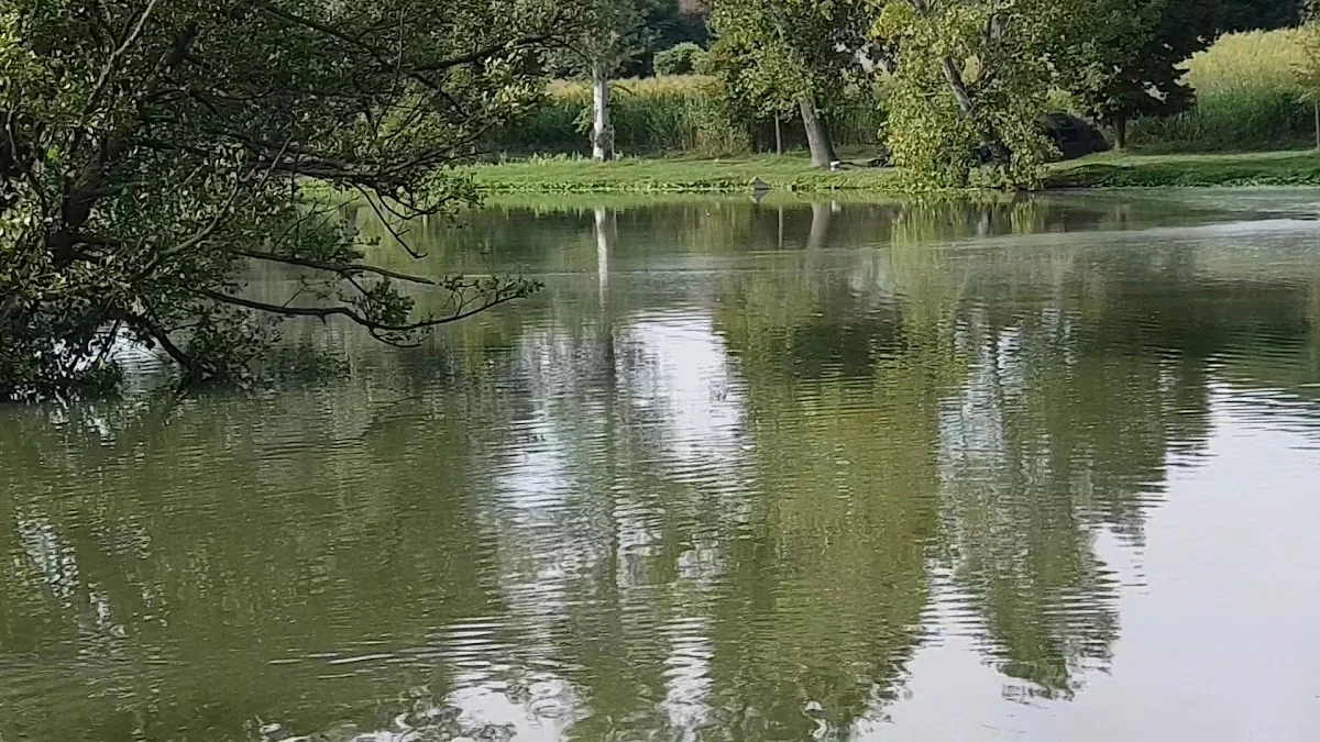 The Three Of Oscasale Lakes gallery 2