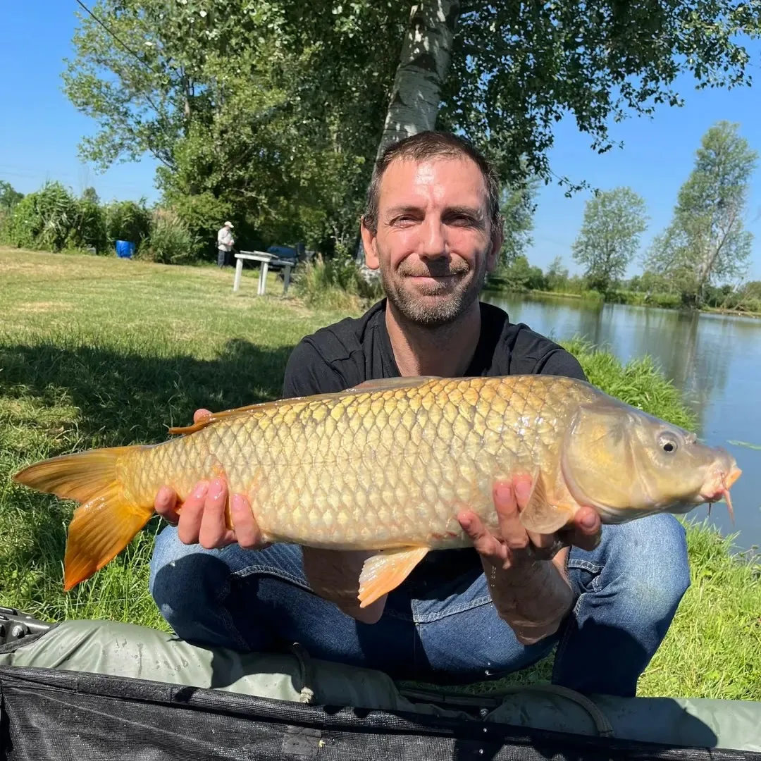 The Three Of Oscasale Lakes gallery 3