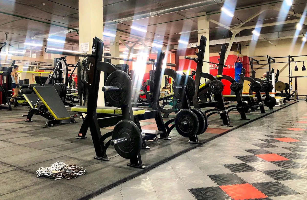 Зона Силы – Habibi Fitness gallery 2