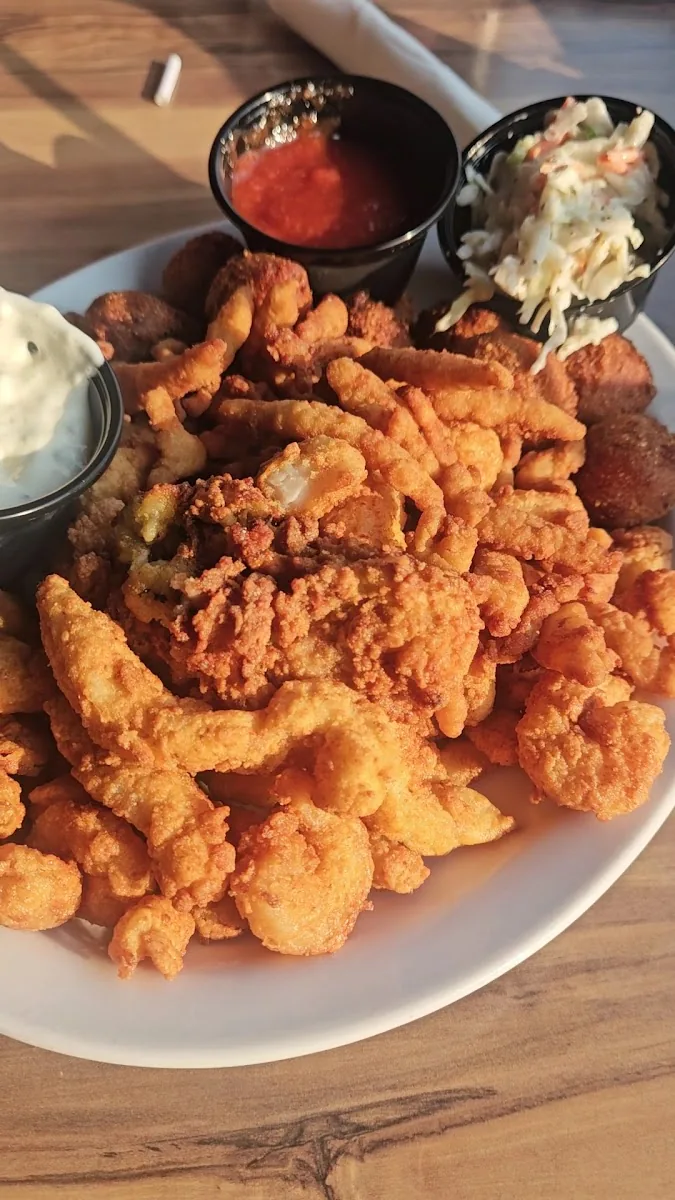 Hammerhead’s gallery 2