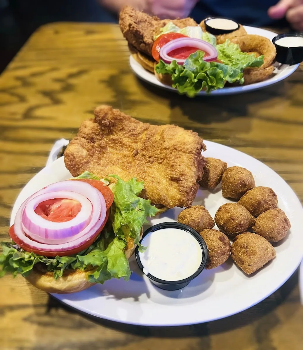 Hammerhead’s gallery 3