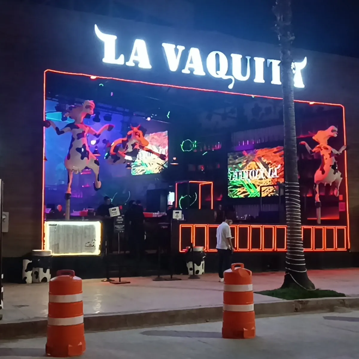 La Vaquita — Blvd. Paseo de la Marina, Centro, 23450 Cabo San Lucas, B.C.S., Mexico